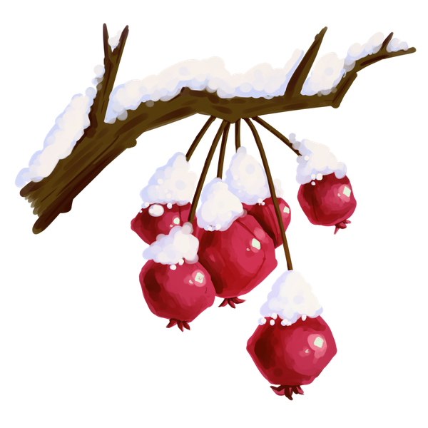 crab apple